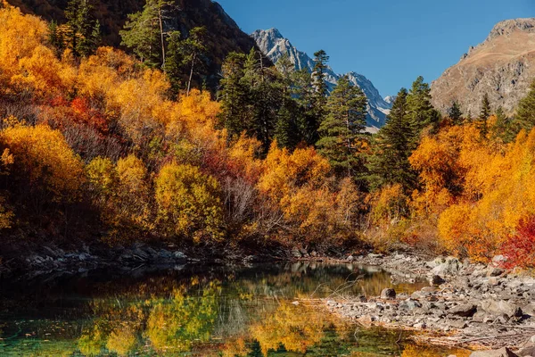 Hory Podzimní Lesy Evropě Vysoká Horská Krajina Žlutými Stromy Jezírkem — Stock fotografie