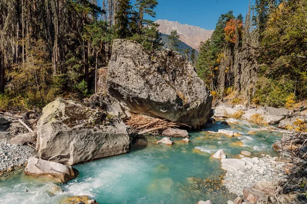 Fiume Montagna Nella Foresta Selvaggia Paesaggio Alta Montagna Con Fiume — Foto Stock