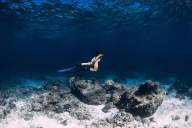 Okyanus altında serbest dalış yapan bir kadın. Derin mavi denizde yüzgeçlerle serbest dalış
