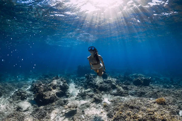 レディーフリーダイバーは 青い海の中でサンゴ礁の上を泳ぐ 熱帯海でのフリーダイビング — ストック写真