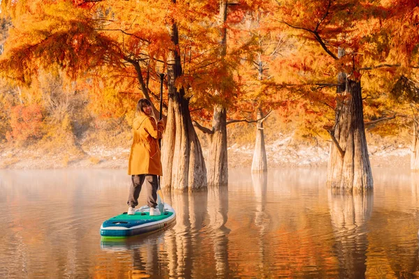 Путешественница Гребной Доске Озере Таксодиевыми Деревьями Осенью Женщина Доске Объявлений — стоковое фото