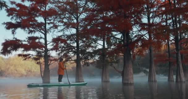 2021年10月28日 ロシアのアナパ 霧と秋のタクソディウムの木と湖の上のパドルボード上の女性 — ストック動画