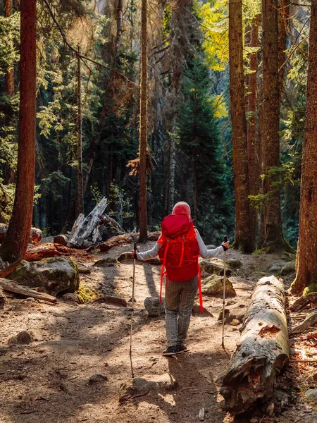 Hiker Woman Red Backpack Mountain Forest — Stock Photo, Image