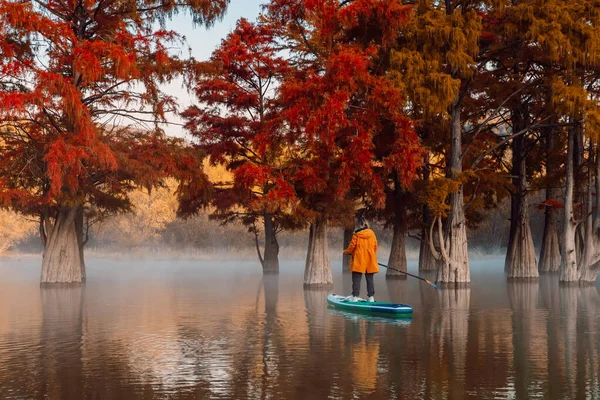 Mujer Viajera Stand Paddle Board Lago Con Árboles Otoñales Mañana — Foto de Stock