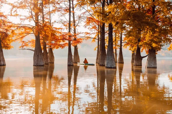 Mujer Meditación Stand Paddle Board Lago Tranquilo Con Árboles Taxodium — Foto de Stock