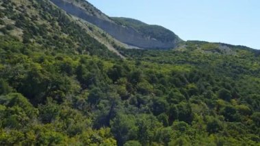 Kanyon ve ormanlı dağların havadan görünüşü