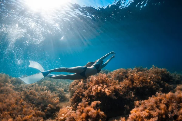 無料のダイバーの女の子は フリーダイビングフィンと海藻と海の底で滑空します 青い海の中で女性と美しい光とフリーダイビング — ストック写真