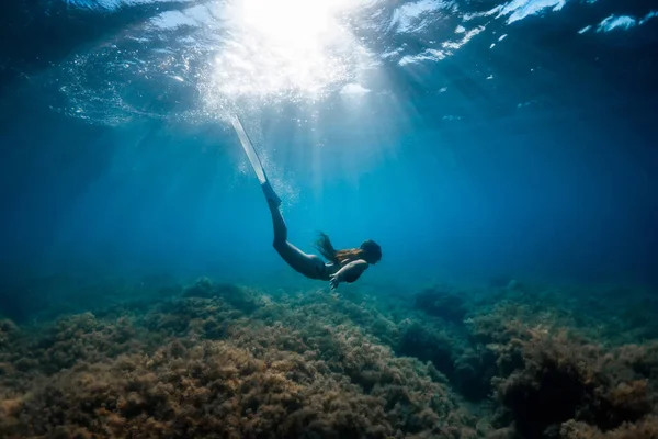 Freediver Woman Fins Glides Underwater Tropical Ocean — Stock Photo, Image