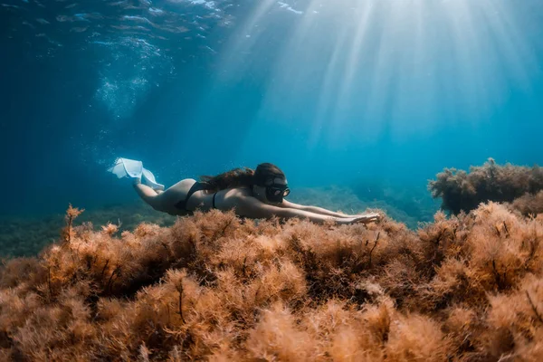 Darmowa Dziewczyna Nurków Ślizga Się Płetwami Freediving Dna Morskiego Wodorostami — Zdjęcie stockowe