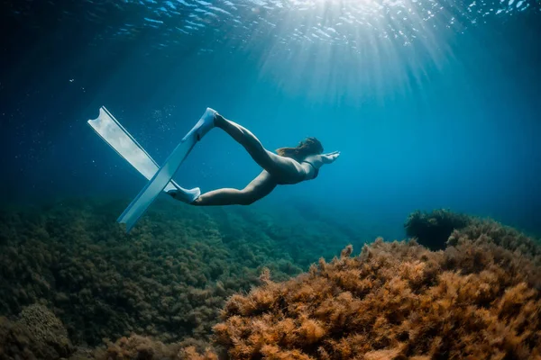 無料のダイバーの女の子は フリーダイビングフィンと海藻と海の底で滑空します 青い海の中で女性と美しい光とフリーダイビング — ストック写真