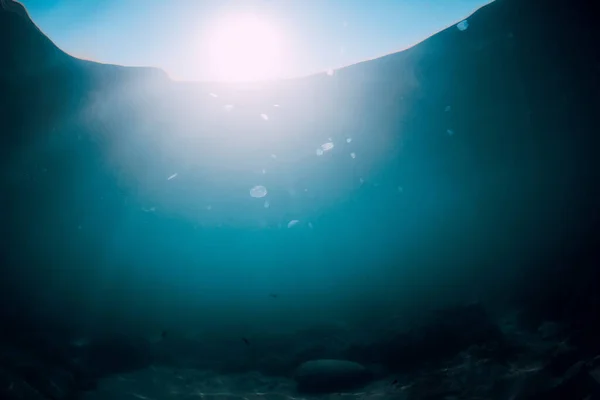 Підводні Сцени Сонячними Променями Прозорій Морській Воді Маленькою Рибою Желе — стокове фото