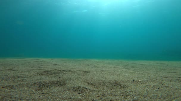Homem Livre Desliza Com Máscara Barbatanas Subaquáticas Mar Azul — Vídeo de Stock