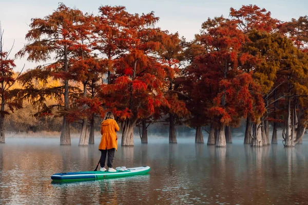 Woman Stand Paddle Board Lake Swamp Trees Morning — Stockfoto