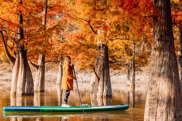 站在湖面上的女游人 带着紫杉树站在木板上 Sup董事会中的妇女 — 图库照片