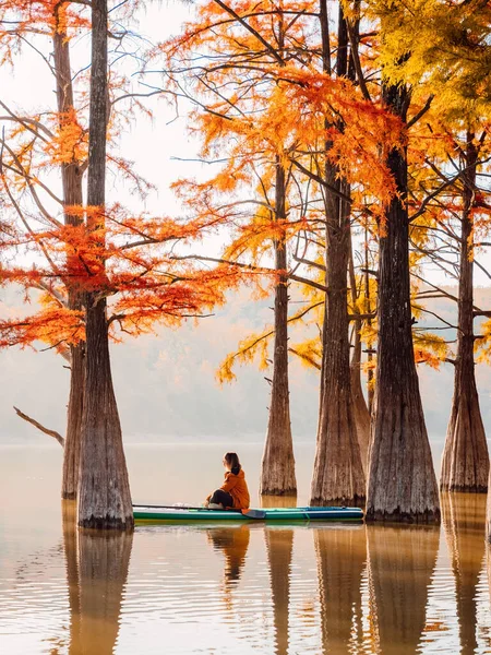 Mujer Relajarse Stand Paddle Board Lago Tranquilo Con Árboles Taxodio — Foto de Stock