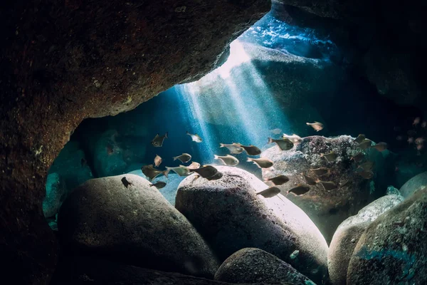 Onderwater Grot Met Zonnestralen School Van Vissen Oceaan — Stockfoto