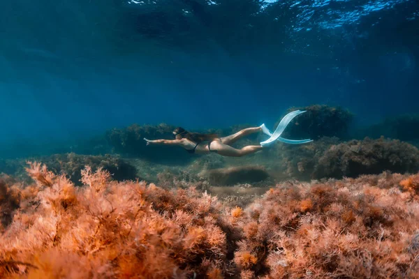 Free Diver Athlete Glides Freediving Fins Sea Bottom Seaweed Freediver — Stock Photo, Image