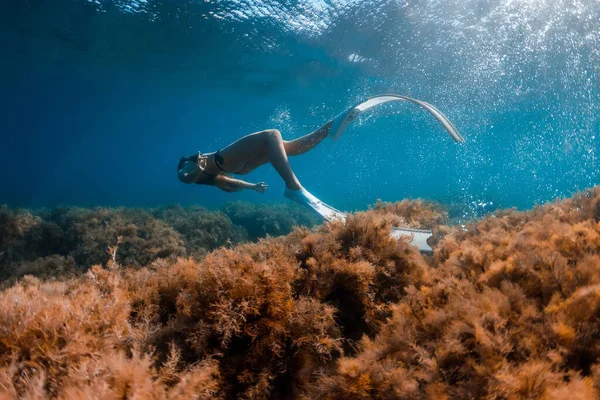 Freediver Vrouw Met Vinnen Glijden Onder Water Vrij Duiken Met — Stockfoto