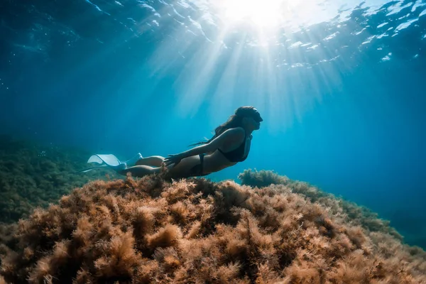 Freitaucherin Gleitet Mit Freitauchflossen Und Algen Freitaucher Und Schönes Sonnenlicht — Stockfoto