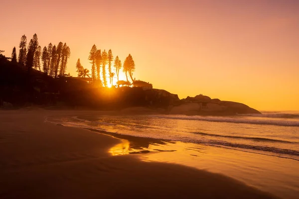 Bright Sunrise Ocean Waves Rocks Trees Joaquina Beach Brazil — Stock Photo, Image