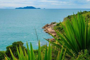 Brezilya 'da bitkiler ve turkuaz okyanusla tropikal kıyı şeridi.
