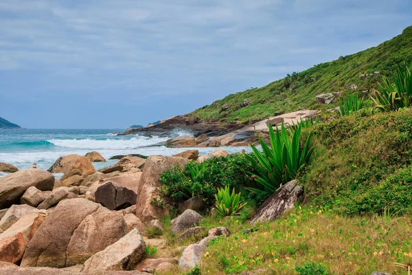 Tropikalne Wybrzeże Plażą Czystym Oceanem Falami Brazylii — Zdjęcie stockowe