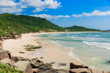 Praia da Galheta plajı. İnanılmaz kayalar ve okyanus dalgaları var. Brezilya 'da tatil afişi