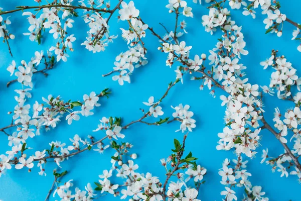 Floraison Fleurs Blanches Sur Fond Bleu Couché Plat Vue Dessus — Photo