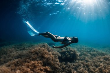 Suyun altında poz veren beyaz yüzgeçli serbest dalgıç. Genç sporcu kızla serbest dalış.