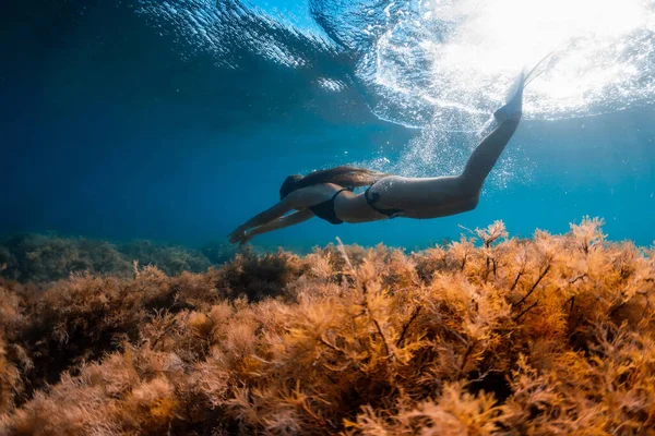 Freitaucher Sportler Gleitet Mit Freitauchflossen Freediver Mädchen Blauen Meer — Stockfoto