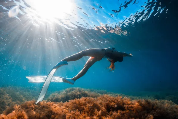 Vrije Duiker Met Witte Vinnen Die Onder Water Poseren Vrij — Stockfoto