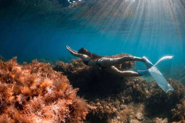 Freitaucher Sportler Gleitet Mit Freitauchflossen Freediver Mädchen Blauen Meer — Stockfoto