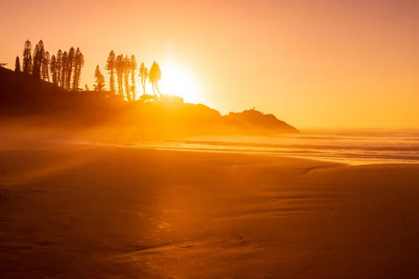 Sunrise Ocean Beach Waves Rocks Trees Joaquina Beach Brazil — Stock Photo, Image