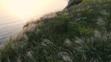 Çimenli ve sakin denizli yaz kıyı şeridinin havadan görünüşü. Gün batımının yumuşak renkleriyle kıyı şeridi 