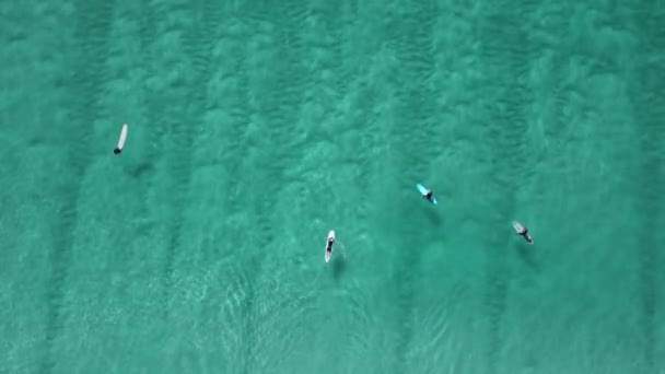 冲浪者在冲浪板上等待着透明的海浪 空中景观 — 图库视频影像