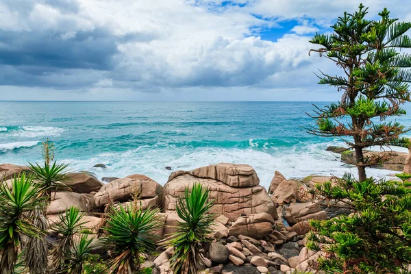 Tropikalne Wybrzeże Roślinami Turkusowym Oceanem Brazylii — Zdjęcie stockowe