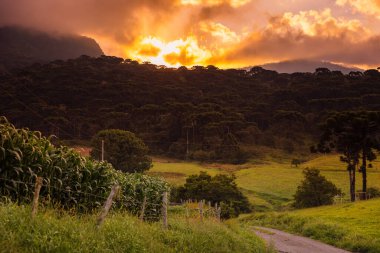 Urubici, Santa Catarina, Brezilya 'da dağları ve gün batımını olan kırsal bölge
