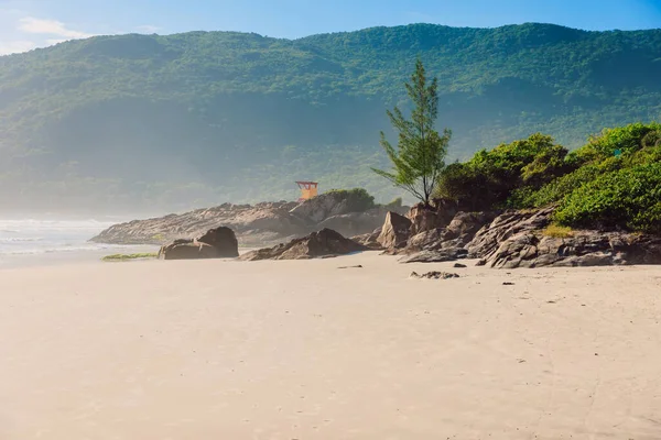 Plaża Matadeiro Mgłą Kamieniami Oceanem Słoneczny Dzień Baner Wakacyjny Brazylii — Zdjęcie stockowe