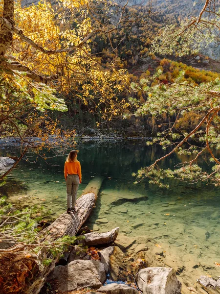 Viajero Mujer Permanecer Registro Madera Lago Montaña Cristal Paisaje Otoñal —  Fotos de Stock