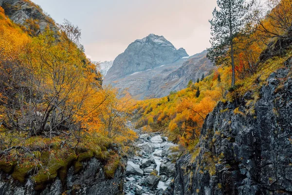 Klippiga Berg Och Höstens Fallträd Högt Bergslandskap Med Flod Ravinen — Stockfoto