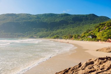 Güneşli bir günde taşlı ve okyanuslu Matadeiro plajı. Brezilya 'da tatil plajı, Florianopolis