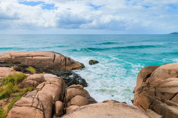 Tropikalne Wybrzeże Tropikalnymi Roślinami Niesamowitymi Skałami Turkusowym Oceanem Florianopolis — Zdjęcie stockowe