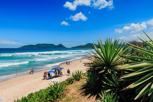 Enero 2022 Florianópolis Brasil Playa Vacaciones Con Gente Océano Azul — Foto de Stock