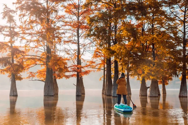 Traveller Paddle Board Lake Swamp Trees Woman Float Sup Board — Stock Photo, Image