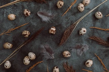 Karanlık arka planda Paskalya yumurtası ve tüyleri. Üst Manzara 'da dümdüz yatıyordu. Paskalya tatili konsepti.