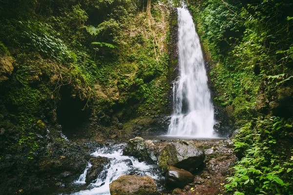 Powerful Waterfall Tropical Forest Bali — Stock Photo, Image