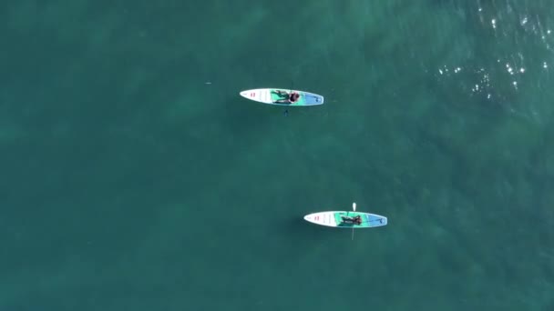 2022年4月19日 保加利亚 索佐波尔一对夫妇站在蓝色海的船桨板上 乘红色桨在海里划船的人 空中景观 — 图库视频影像