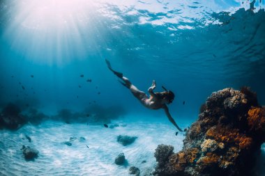 Güzel kız serbest dalış ve mercanlar. Hawaii adalarında mavi okyanusta serbest dalış