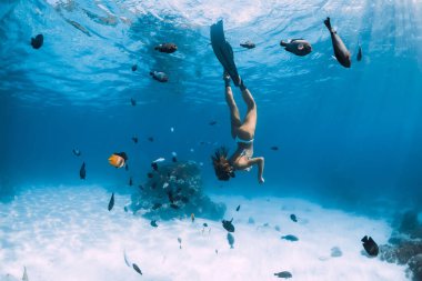 Beauty freediver woman dive in blue ocean with fishes in tropics