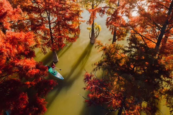 Vista Aérea Con Viajero Relajándose Stand Paddle Board Lago Pantano — Foto de Stock